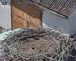Capi_Dubne_20260809_150003.jpg