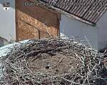 Capi_Dubne_20260809_150503.jpg