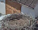 Capi_Dubne_20260809_151003.jpg
