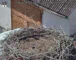 Capi_Dubne_20260809_151503.jpg
