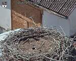 Capi_Dubne_20260809_152002.jpg