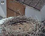 Capi_Dubne_20260809_155502.jpg