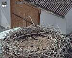 Capi_Dubne_20260809_160503.jpg