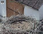 Capi_Dubne_20260809_161003.jpg