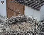 Capi_Dubne_20260809_164003.jpg