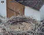 Capi_Dubne_20260809_165003.jpg