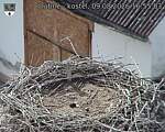 Capi_Dubne_20260809_165503.jpg
