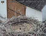 Capi_Dubne_20260809_171003.jpg