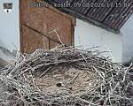 Capi_Dubne_20260809_171504.jpg