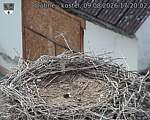 Capi_Dubne_20260809_172003.jpg