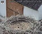 Capi_Dubne_20260809_173004.jpg