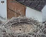 Capi_Dubne_20260809_173503.jpg