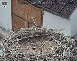 Capi_Dubne_20260809_175002.jpg