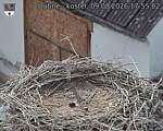 Capi_Dubne_20260809_175502.jpg
