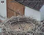 Capi_Dubne_20260809_180003.jpg