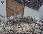 Capi_Dubne_20260809_180503.jpg