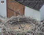 Capi_Dubne_20260809_181002.jpg