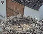 Capi_Dubne_20260809_182002.jpg