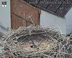 Capi_Dubne_20260809_182503.jpg