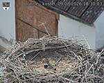 Capi_Dubne_20260809_183003.jpg