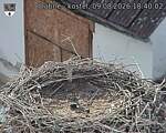 Capi_Dubne_20260809_184002.jpg