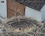 Capi_Dubne_20260809_190002.jpg