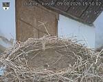 Capi_Dubne_20260809_195002.jpg