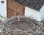 Capi_Dubne_20260809_202003.jpg