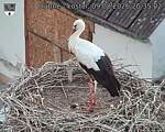 Capi_Dubne_20260809_203502.jpg
