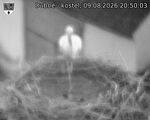Capi_Dubne_20260809_205003.jpg