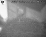 Capi_Dubne_20260809_211002.jpg