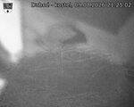 Capi_Dubne_20260809_212502.jpg