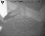 Capi_Dubne_20260809_220502.jpg