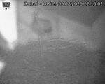 Capi_Dubne_20260809_221502.jpg