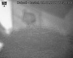 Capi_Dubne_20260809_222003.jpg