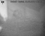 Capi_Dubne_20260810_011503.jpg