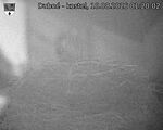 Capi_Dubne_20260810_012002.jpg