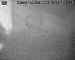 Capi_Dubne_20260810_013002.jpg