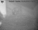 Capi_Dubne_20260810_013502.jpg