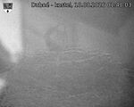 Capi_Dubne_20260810_014003.jpg
