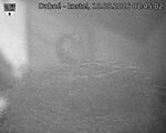 Capi_Dubne_20260810_014502.jpg