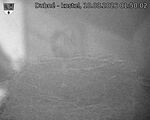 Capi_Dubne_20260810_015002.jpg