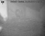 Capi_Dubne_20260810_015503.jpg