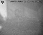 Capi_Dubne_20260810_020002.jpg