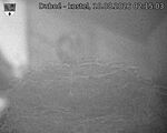 Capi_Dubne_20260810_021503.jpg