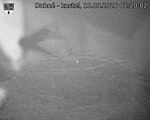 Capi_Dubne_20260810_022002.jpg
