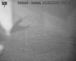 Capi_Dubne_20260810_030003.jpg