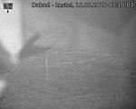 Capi_Dubne_20260810_031003.jpg