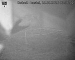 Capi_Dubne_20260810_033502.jpg