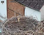 Capi_Dubne_20260810_062504.jpg